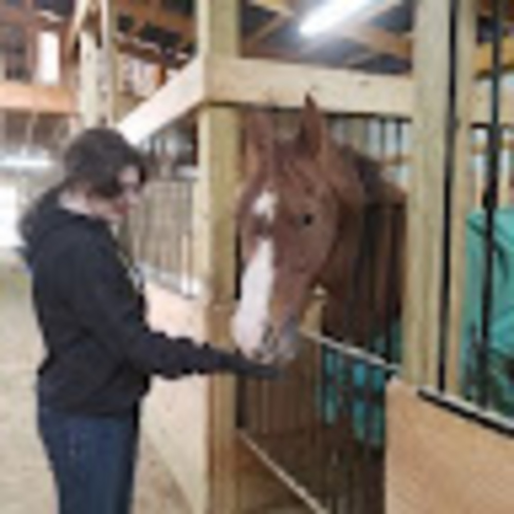 Meet your Posher, Quarter horse